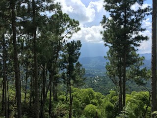 Bullhead Mountain, Dead Center Of The Island